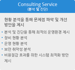 Consulting Service(분석 및 진단)