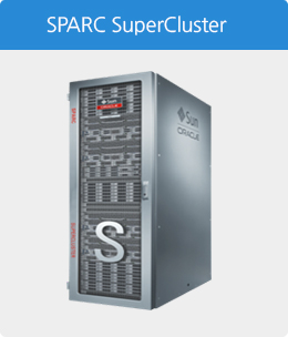 SPARC SuperCluster