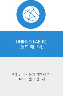 UNIFIED FABRIC(통합 패브릭)