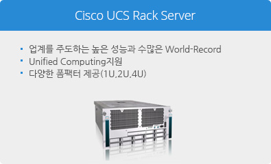 Cisco UCS Rack Server