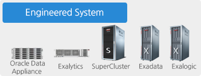 Engineered System